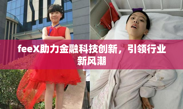 feeX助力金融科技创新，引领行业新风潮
