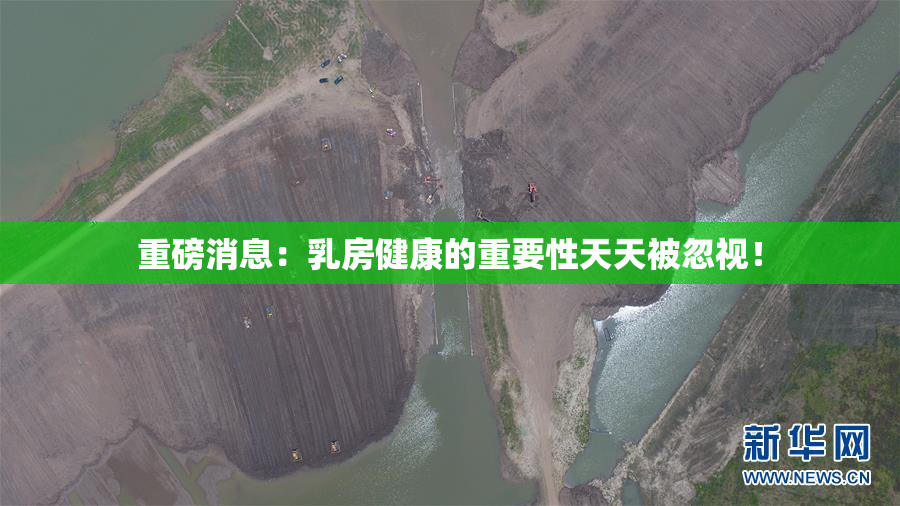重磅消息：乳房健康的重要性天天被忽视！