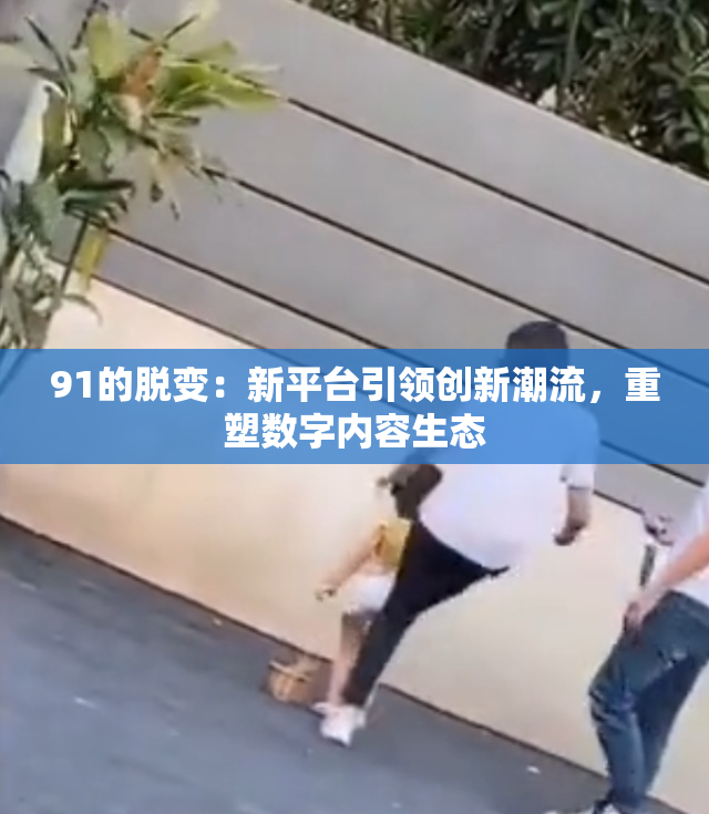 91的脱变：新平台引领创新潮流，重塑数字内容生态