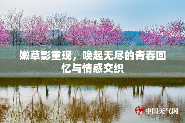 嫩草影重现，唤起无尽的青春回忆与情感交织