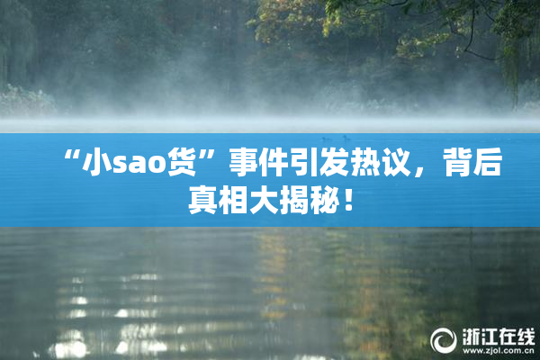 “小sao货”事件引发热议，背后真相大揭秘！