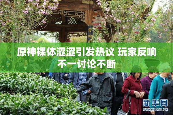 原神裸体涩涩引发热议 玩家反响不一讨论不断