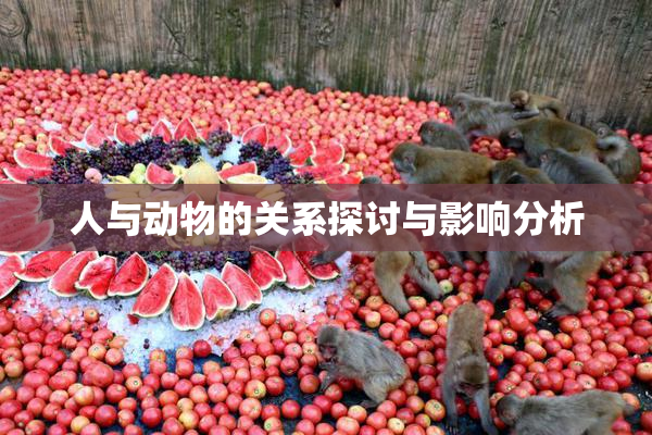 人与动物的关系探讨与影响分析