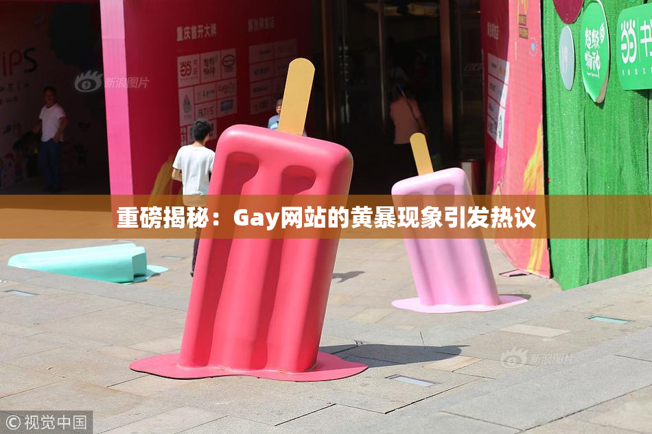 重磅揭秘：Gay网站的黄暴现象引发热议