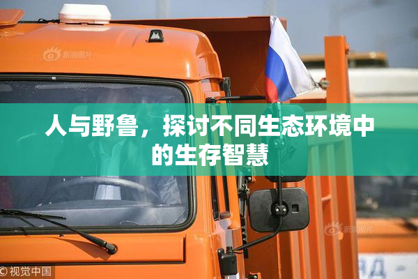 人与野鲁，探讨不同生态环境中的生存智慧