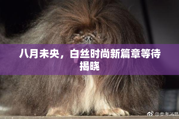 八月未央，白丝时尚新篇章等待揭晓