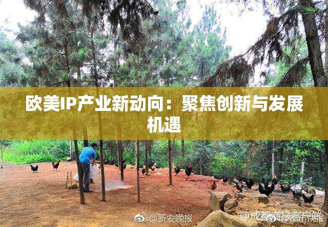 欧美IP产业新动向：聚焦创新与发展机遇