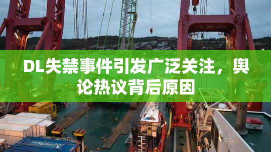 DL失禁事件引发广泛关注，舆论热议背后原因