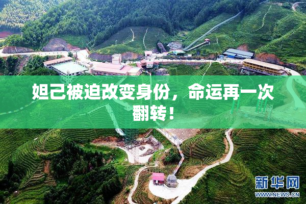 妲己被迫改变身份，命运再一次翻转！