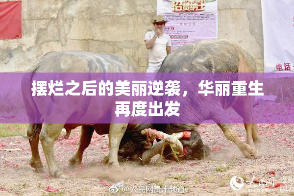 摆烂之后的美丽逆袭，华丽重生再度出发