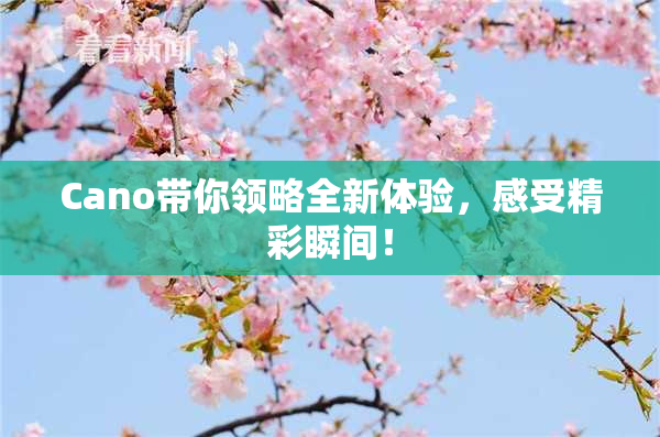 Cano带你领略全新体验，感受精彩瞬间！