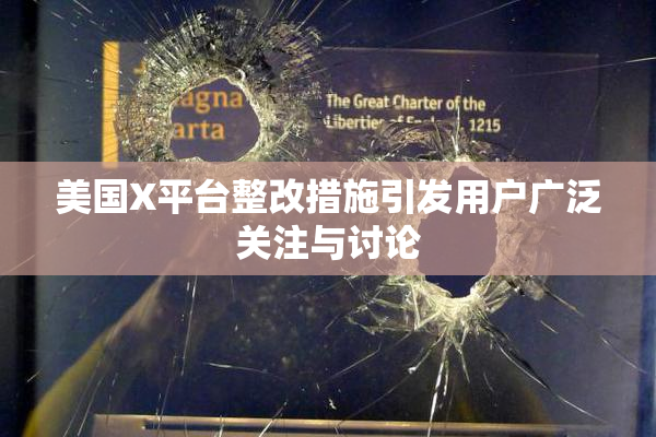 美国X平台整改措施引发用户广泛关注与讨论