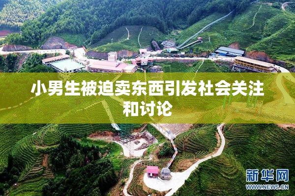 小男生被迫卖东西引发社会关注和讨论
