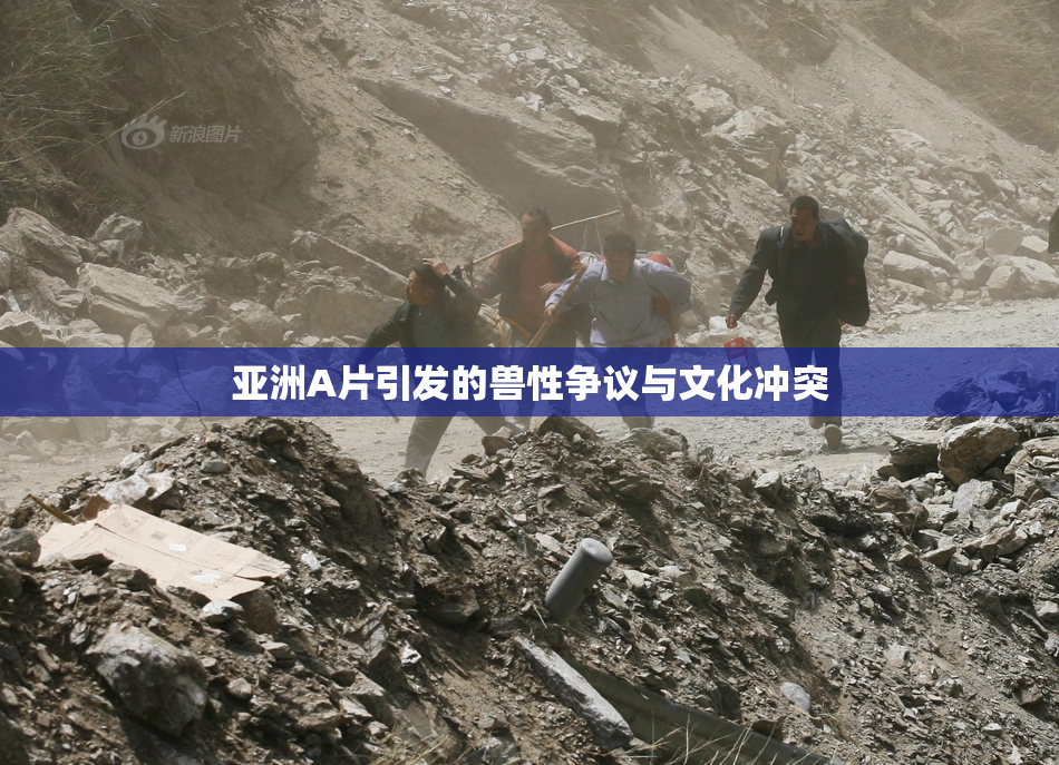 亚洲A片引发的兽性争议与文化冲突