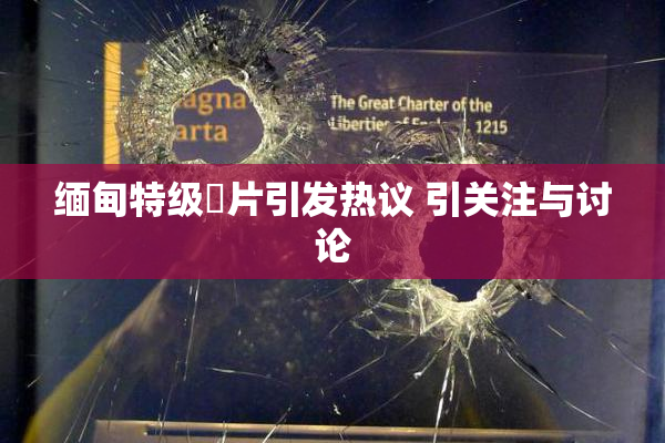 缅甸特级婬片引发热议 引关注与讨论