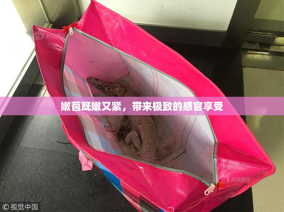 嫩苞既嫩又紧，带来极致的感官享受