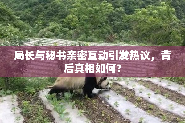 局长与秘书亲密互动引发热议，背后真相如何？