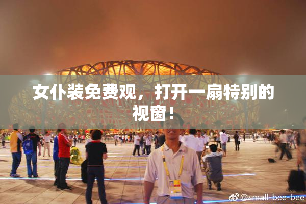 女仆装免费观，打开一扇特别的视窗！
