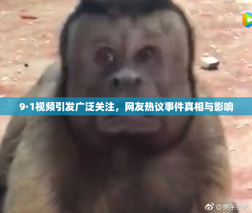 9·1视频引发广泛关注，网友热议事件真相与影响