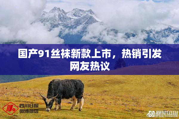 国产91丝袜新款上市，热销引发网友热议
