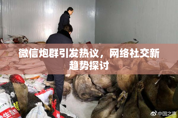 微信炮群引发热议，网络社交新趋势探讨