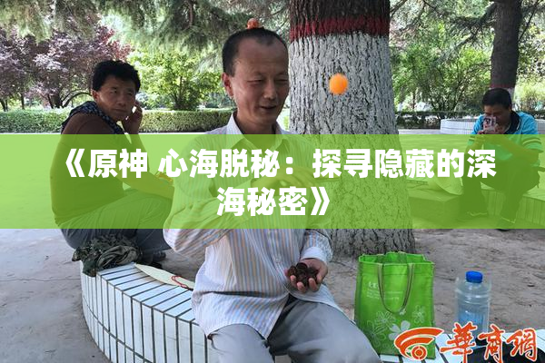 《原神 心海脱秘：探寻隐藏的深海秘密》