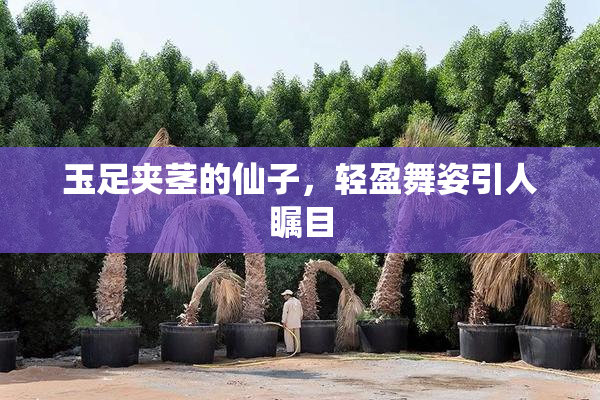 玉足夹茎的仙子，轻盈舞姿引人瞩目