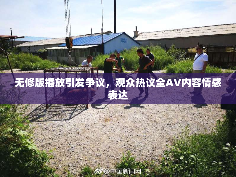 无修版播放引发争议，观众热议全AV内容情感表达