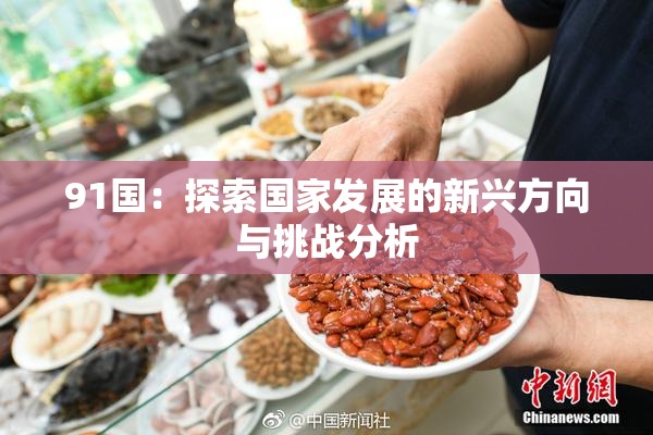 91国：探索国家发展的新兴方向与挑战分析