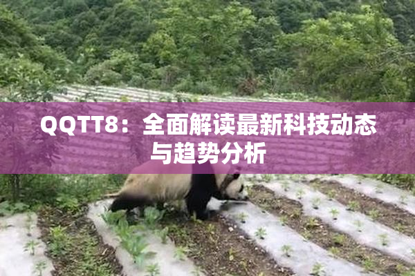 QQTT8：全面解读最新科技动态与趋势分析