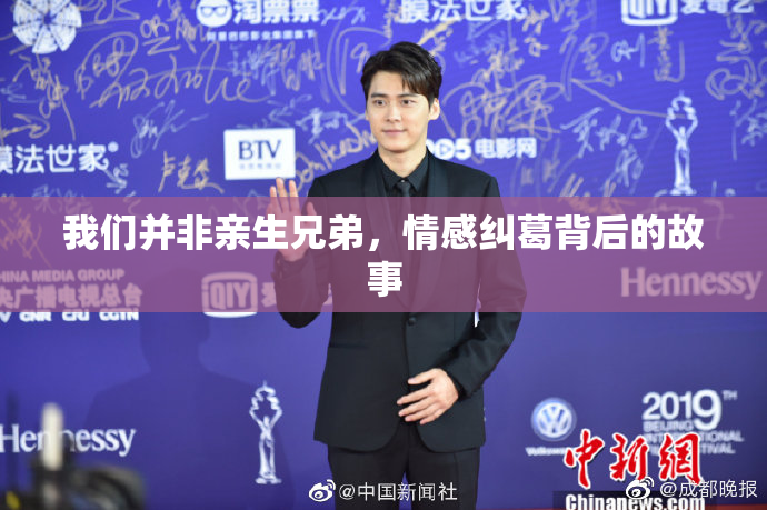 我们并非亲生兄弟，情感纠葛背后的故事