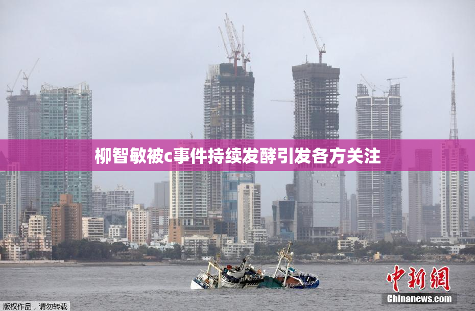 柳智敏被c事件持续发酵引发各方关注
