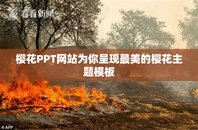 樱花PPT网站为你呈现最美的樱花主题模板