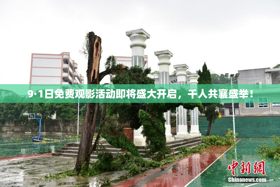 9·1日免费观影活动即将盛大开启，千人共襄盛举！