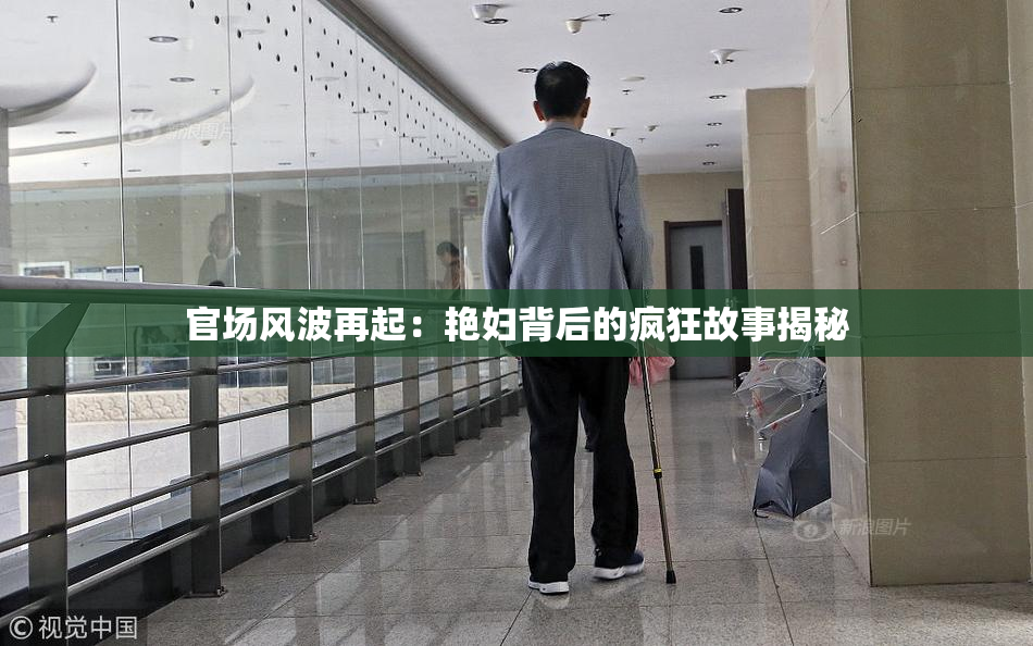 官场风波再起：艳妇背后的疯狂故事揭秘