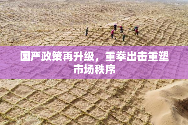 国严政策再升级，重拳出击重塑市场秩序