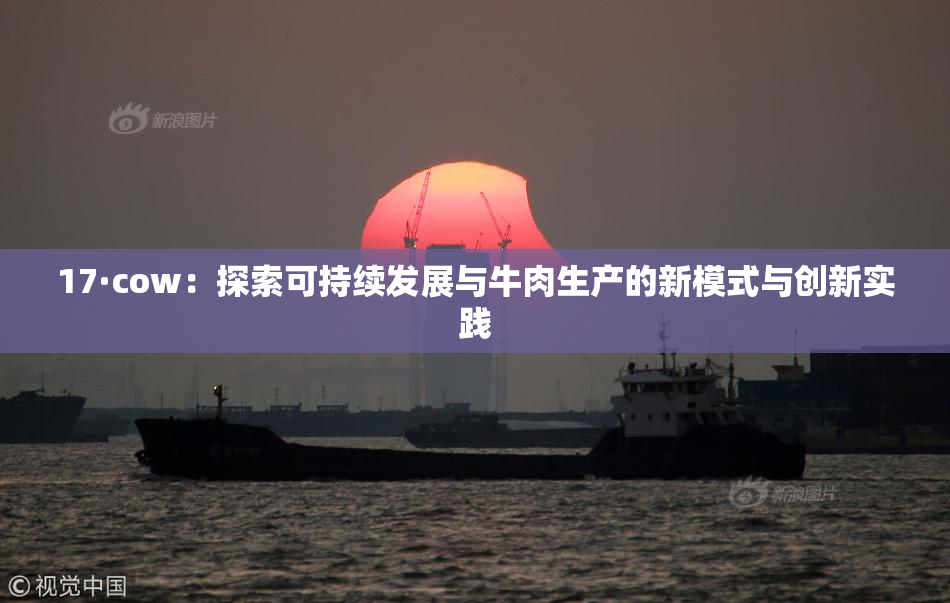 17·cow：探索可持续发展与牛肉生产的新模式与创新实践