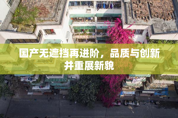 国产无遮挡再进阶，品质与创新并重展新貌