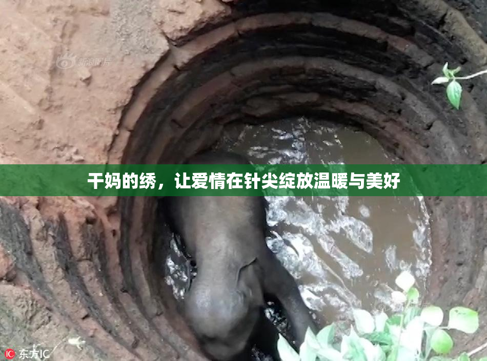干妈的绣，让爱情在针尖绽放温暖与美好