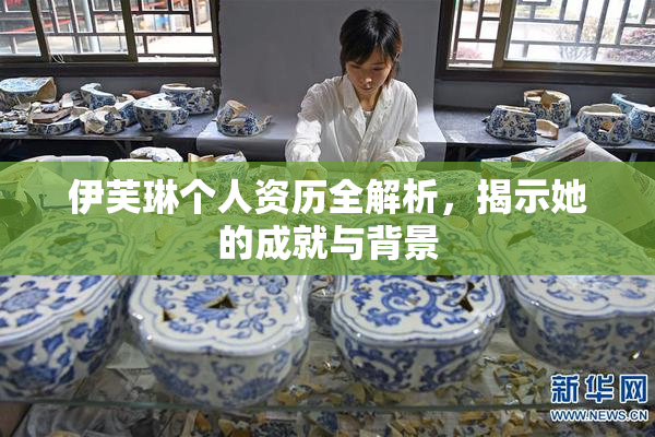伊芙琳个人资历全解析，揭示她的成就与背景