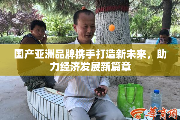 国产亚洲品牌携手打造新未来，助力经济发展新篇章