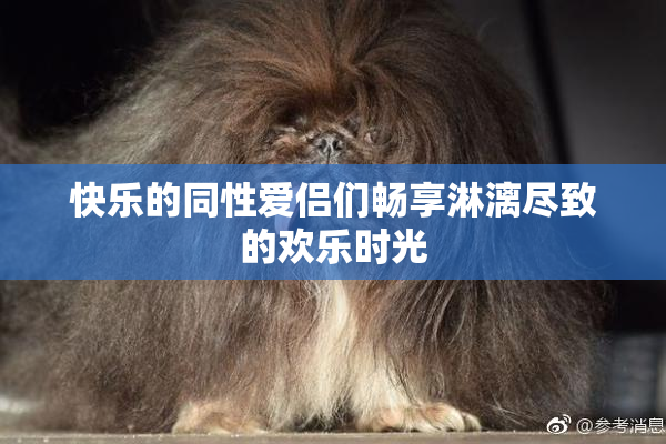 快乐的同性爱侣们畅享淋漓尽致的欢乐时光