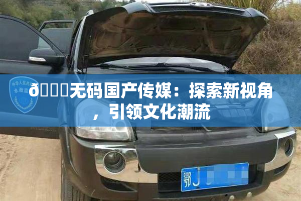 🔞无码国产传媒：探索新视角，引领文化潮流