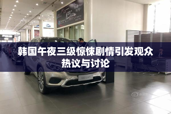 韩国午夜三级惊悚剧情引发观众热议与讨论