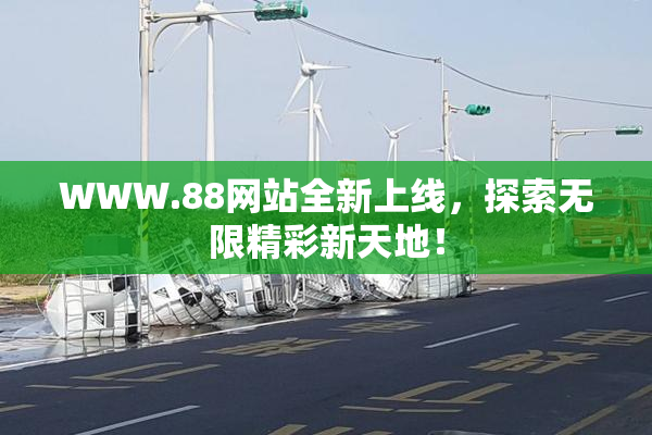 WWW.88网站全新上线，探索无限精彩新天地！