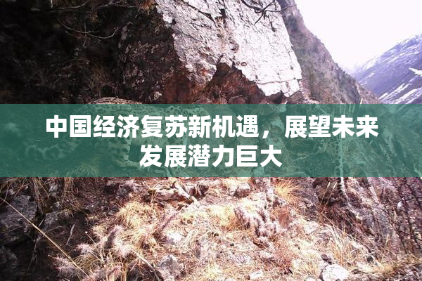 中国经济复苏新机遇，展望未来发展潜力巨大