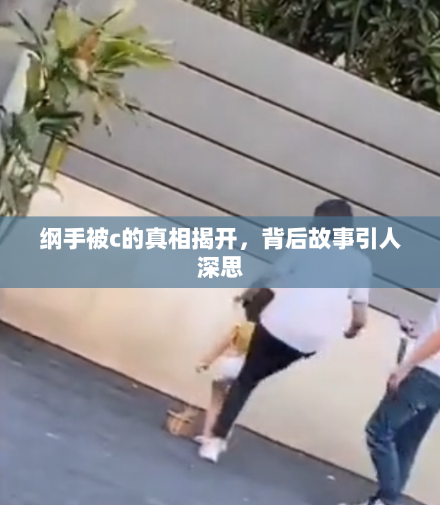 纲手被c的真相揭开，背后故事引人深思