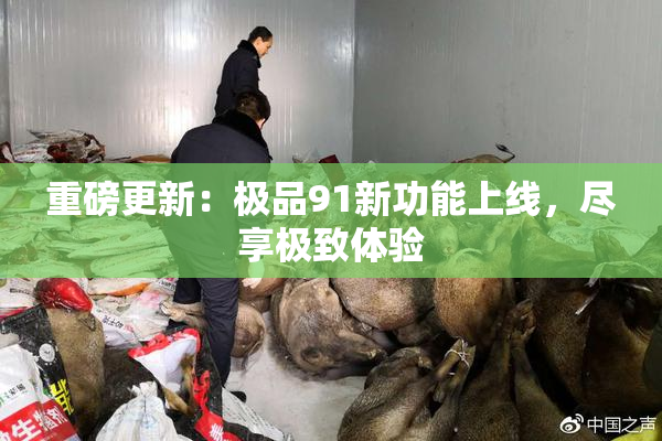 重磅更新：极品91新功能上线，尽享极致体验
