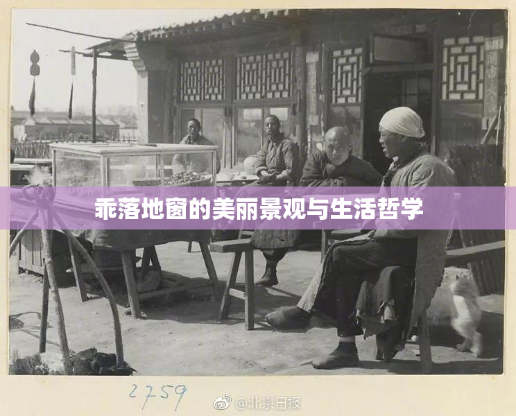 乖落地窗的美丽景观与生活哲学
