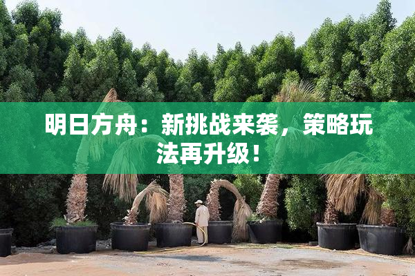 明日方舟：新挑战来袭，策略玩法再升级！